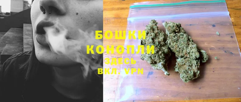 Каннабис SATIVA & INDICA  Куса 